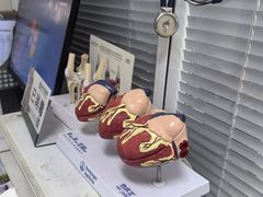 -瑞派福兴宠物医院犬猫全科·骨科·中西医结合(河东店)