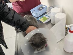 -美联众合动物医院·24h京西诊疗中心