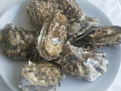 -渔民船说·北塘海鲜·天津菜·海肠捞饭(北塘古镇店)