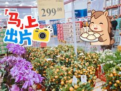 -山姆会员商店(上海浦东店)