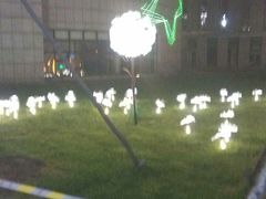 景点-长白岛森林公园