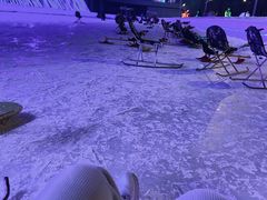 -沈阳奥体冰雪嘉年华