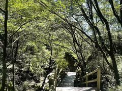 -牛背梁国家森林公园