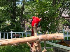 -哈尔滨北方森林动物园