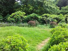 android_upload_pic-天河儿童公园