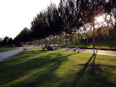 -长春公园(普阳街道)