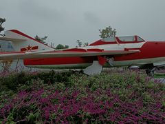 -成飞公园