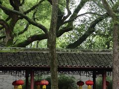 -天一阁博物院
