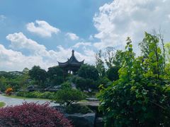 -东莞植物园
