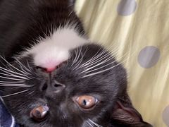 -中国工商银行(江苏省分行营业部)