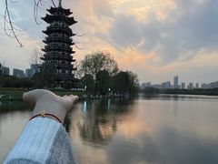 -洋湖国家湿地公园