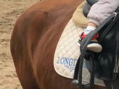 -月河湾马术俱乐部(朝阳店)