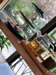 -海茱雅科技健康美容