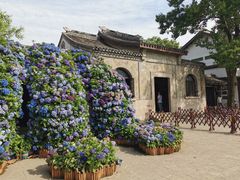 -无锡蠡湖国家湿地公园-蠡园