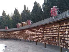 -龙口南山旅游景区