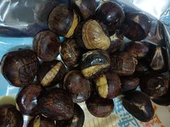 -粒上皇(扬名广场店)
