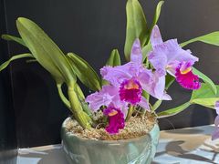 -国家植物园南园