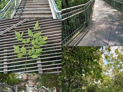 -佛山华盖山公园