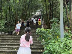 -成都老君山