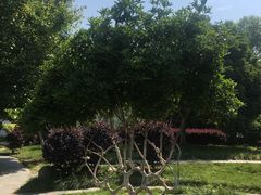 -武汉紫薇都市田园