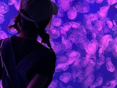 -宁波海洋世界-售票处