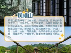 -桤木河湿地公园