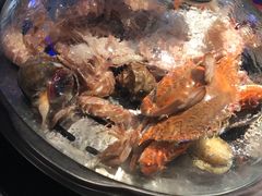 -乔哥铭洋海鲜自助(皇城恒隆广场店)