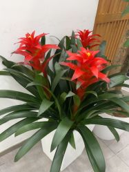 -和颜一美轻医美连锁