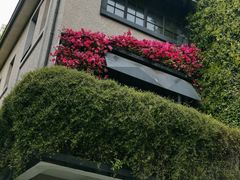-徐家汇源景区-衡山坊