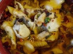 android_upload_pic-凯思大酒店