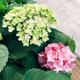 春日踏青好去处•路边的野花也很美