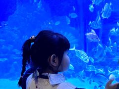 -顺德南宏海立方海洋公园