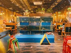 -小俩口烧烤东北菜(双井店)