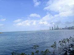 -椰小鸡·琼州糟粕醋·火锅(美兰缤纷城店)