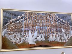 -皇鸽餐厅(五桂山分店)