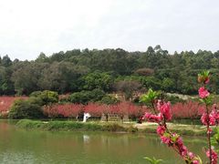 -南国桃园旅游度假区