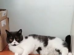 -杭州市第三人民医院