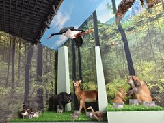 -房山世界地质公园博物馆