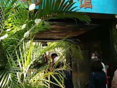 -呀路古热带植物园-恐龙馆