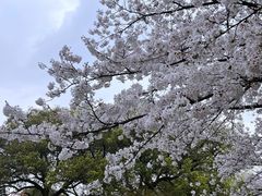 -中国茶叶博物馆(双峰馆区)