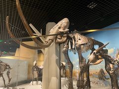 -国家自然博物馆