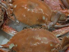 -赶海部落海鲜城(海阳路店)