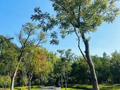 -昆山城市生态森林公园