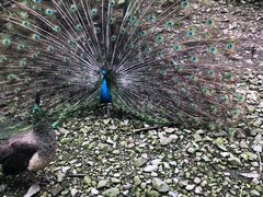 -藏龙百瀑风景区