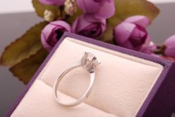 DSC_9300-威德钻石-克拉钻大本营(南京东路店)