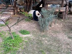 -泉州海丝野生动物世界