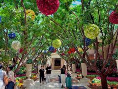 -拉斯维加斯永利酒店