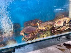 -仙螺岛海鲜自助餐厅(总店)