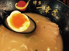 溏心蛋-博多一幸舍(侨福芳草地购物中心店)