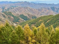 -苏木山森林公园